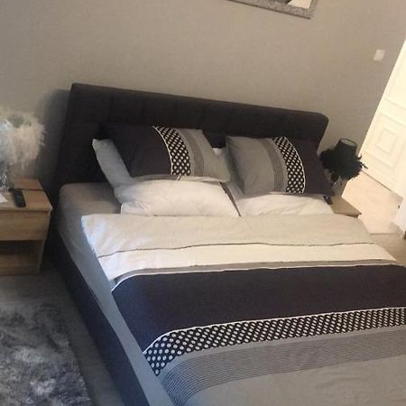Studio Apartman Ana 奥西耶克 外观 照片