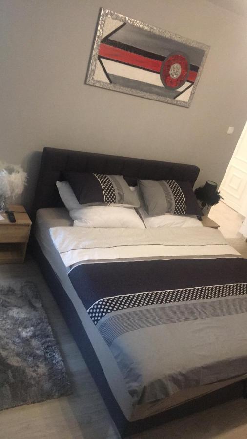 Studio Apartman Ana 奥西耶克 外观 照片